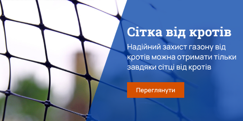 Новмакс