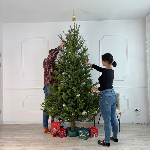 Підставка під ялинку KAMAI START 2.5 м. зелений 4022622033576 фото