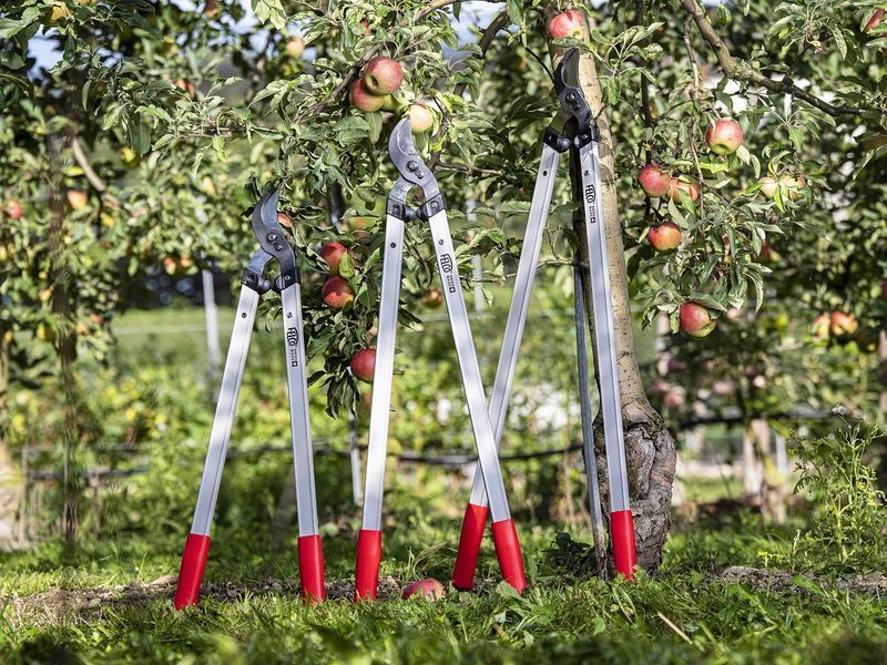 Сучкорез Felco 221-90 обводной (Фелко 221-90) 121001223026 фото