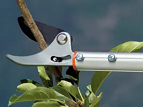 Секатор Stocker 509 телескопічний обвідний на штанзі 1,8-3 м (Штокер) 121001006634 фото