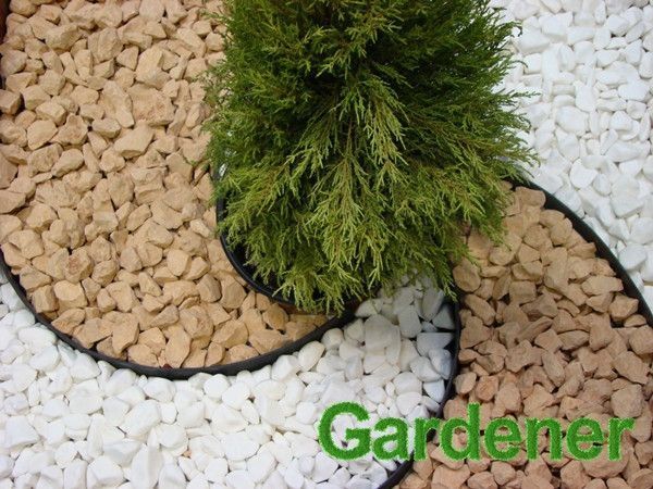 Садовий бордюр універсальний Gardener 5,5 см (10 м + 20 анкерів) 1820323432 фото