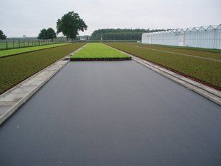 Агротканина Agrojutex 100 г/кв. м. (4,2x100) 1059613225 фото
