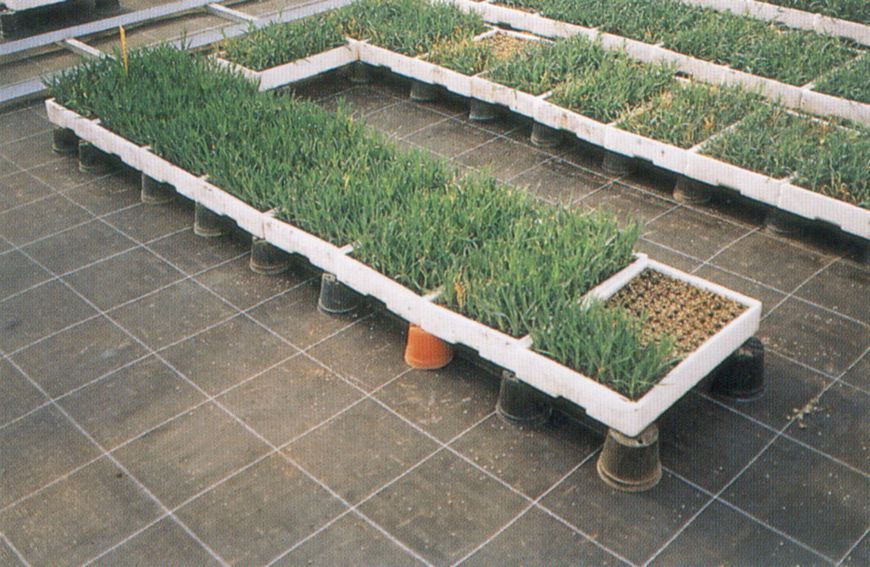 Агроткань Agrojutex 100 г/кв.м. (5,25x100) 1059613515 фото