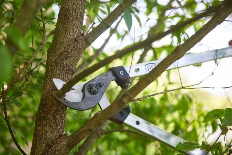 Сучкорез Felco 211-60 обводной (Фелко 211-60) 121001223014 фото