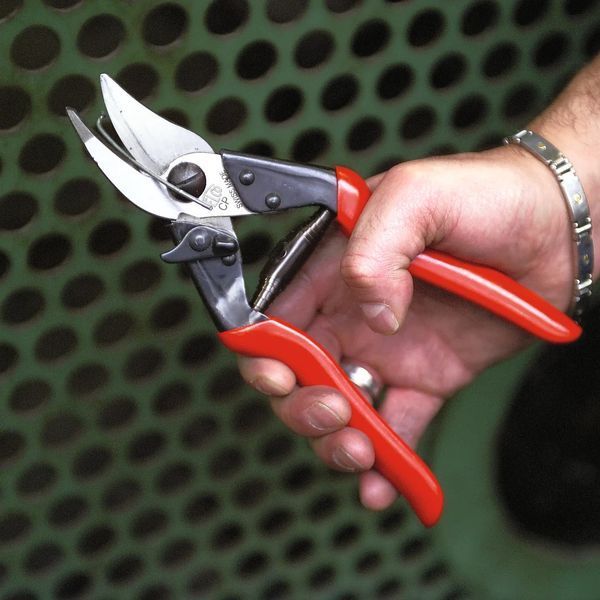 Секатор-ножиці Felco CP для саду f15 фото