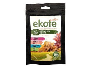 Удобрение Eкоte для газона осеннее 3 месяца, 250 г - Экоте - удобрение длительного действия 120400102337 фото