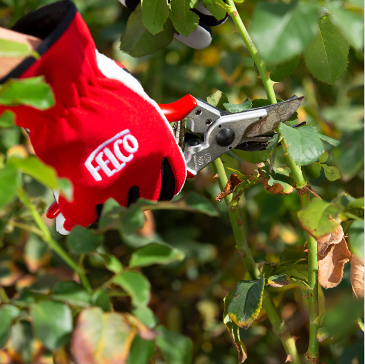 Садовый секатор FELCO 100 с удерживателем классический для цветов f21 фото
