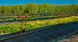 Агротканина чорна 100 г/м2 Geocover 1,4x100 (Польща) 240420262 фото 2