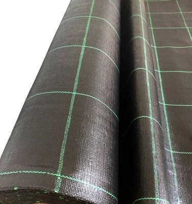 Агротканина чорна 100 г/м2 Geocover 5,25x100 (Польща) 240420263 фото
