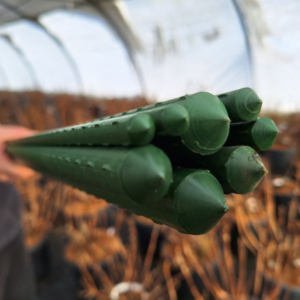 Опора для рослин Agrario 210 см діаметр 16 мм металева з пластиковим покриттям 120600900219 фото