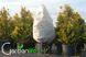 Чехол для укрытия растений 160х160 "Купол" с фиксатором Gardenlife 1277031558 фото 2