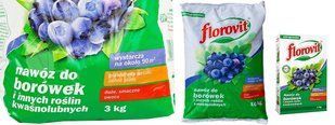 Удобрение для голубики, черники Florovit 3 кг 1319760000007 фото
