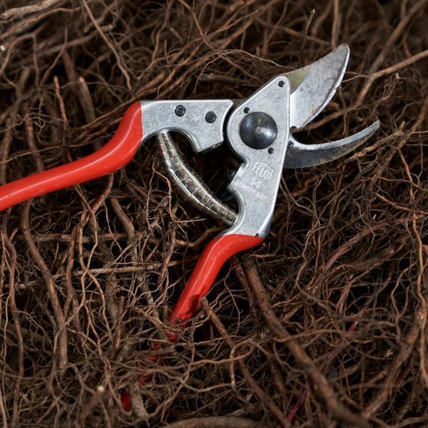 Садовый секатор FELCO 14 обводной эргономичный. 121001004945 фото