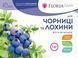 Удобрение Floria Gran для голубики и черники гранулированное безхлорное Флория Гран - 1 кг 120400103702 фото 4