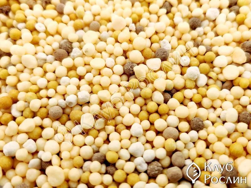 Добриво Ekote для овочевих і городніх культур 3-4 міс, 5 кг 120400102392 фото