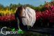 Чехол для укрытия растений 140х100 "Купол" с замком Gardenlife 1274000982 фото 3