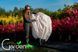 Чехол для укрытия растений 140х100 "Купол" с замком Gardenlife 1274000982 фото 5
