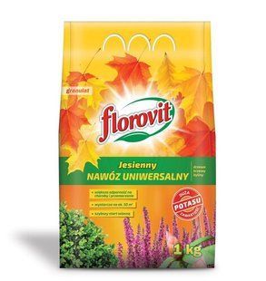 Удобрение осеннее универсальное Florovit 1 кг (Польша) 1405220000011 фото