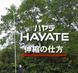 Пила телескопическая для высотной обрезки Silky / Силки Hayate 5000 (Япония) 371-42 фото 5