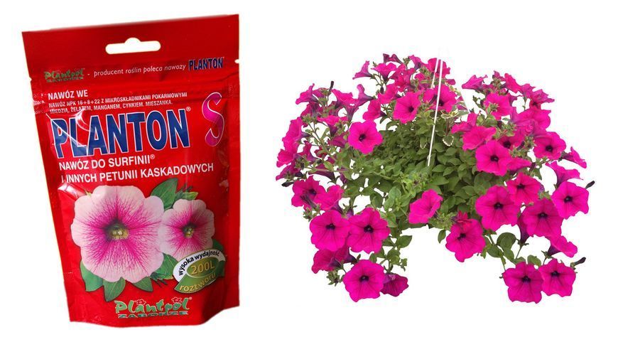 Planton S, добриво для сурфіній, 0,2 кг 8114000000013 фото