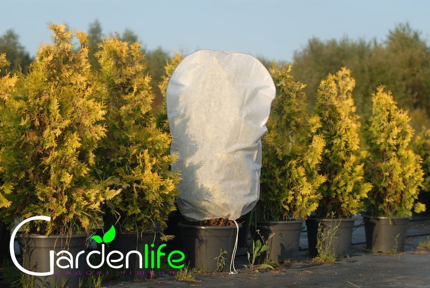 Чехол для укрытия растений 80х50 "Купол" с фиксатором Gardenlife 1274003580 фото