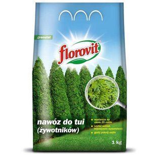 Удобрение для туи Florovit 1 кг (Польша) 1319870000003 фото