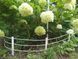 Парканчик садовий "РАНЧО" 5 м, Gardener (Польща) 1263760000010 фото 4