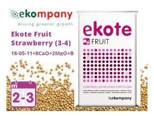 Удобрение Ekote Fruit Strawberry (18-05-11+8CaO+2MgO+B, 2-3 месяца), 25 кг 120400102314 фото