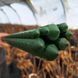 Опора для растений Agrario 150 см диаметр 11 мм металлическая с пластиковым покрытием 120600900217 фото 5
