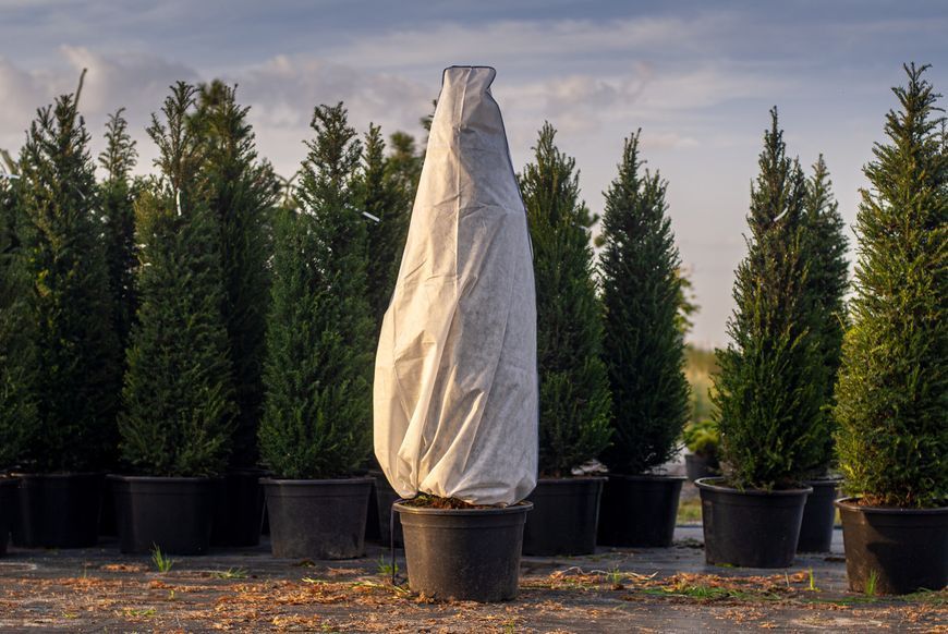 Чохол для укриття рослин 120х100 "Конус" з фіксатором Gardenlife 1292264263 фото
